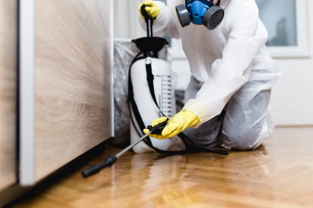 Reliable Dorneyville, PA Pest Control Solutions