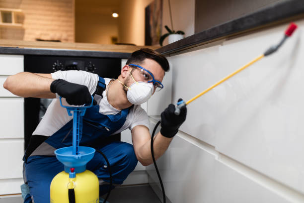 Best Flea Control Services  in Dorneyville, PA