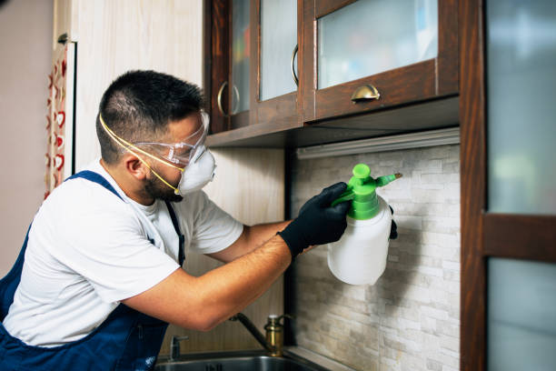 Best Bed Bug Extermination  in Dorneyville, PA