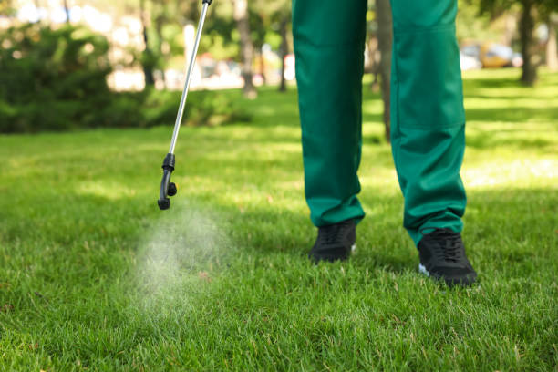 Best Pest Control for Restaurants  in Dorneyville, PA