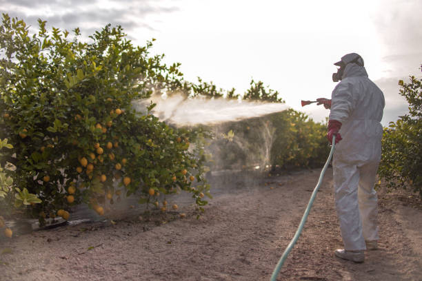 Best Cockroach Control Services  in Dorneyville, PA