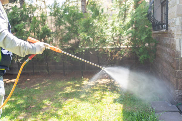 Spider Control Near Me in Dorneyville, PA