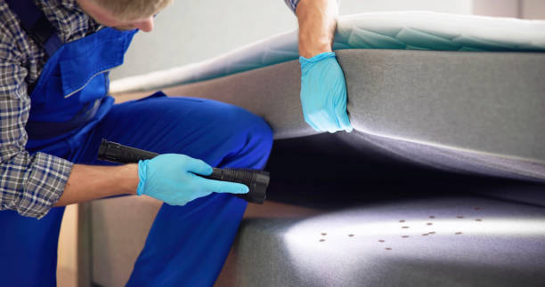 Best Affordable Pest Control Services  in Dorneyville, PA