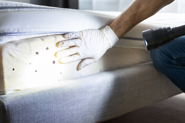 Best Pest Prevention Services  in Dorneyville, PA
