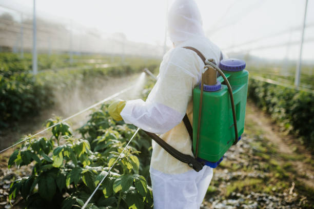 Pest Control for Restaurants in Dorneyville, PA
